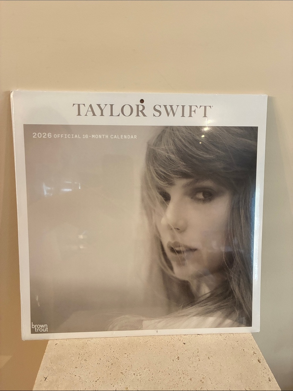 Taylor Swift Beige Portrait Wall Art Calendar 16 month 2026 dorm